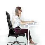 Lumbar Support Cushion